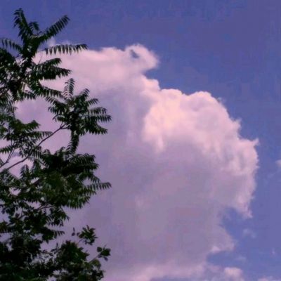 大众彩票入口welcomeapp下载